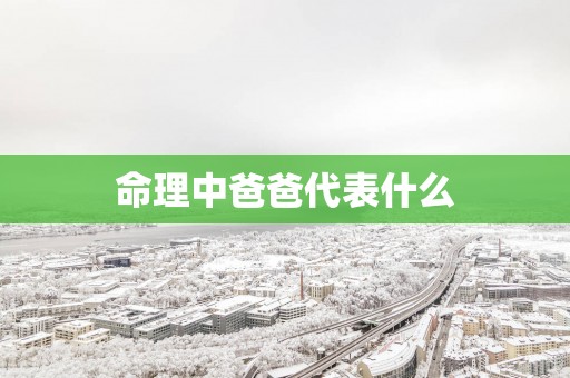 命理中爸爸代表什么