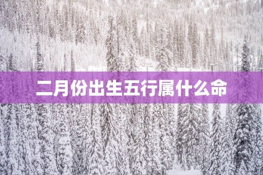 二月份出生五行属什么命
