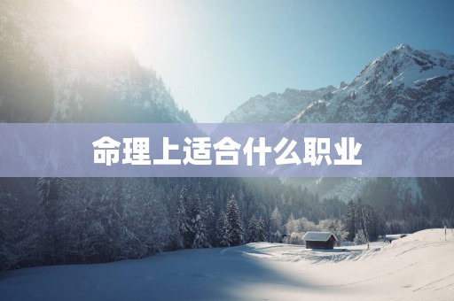 命理上适合什么职业