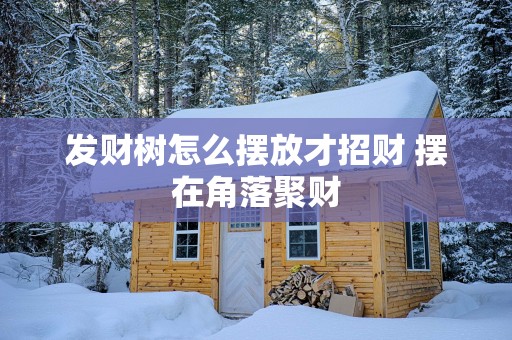 发财树怎么摆放才招财 摆在角落聚财