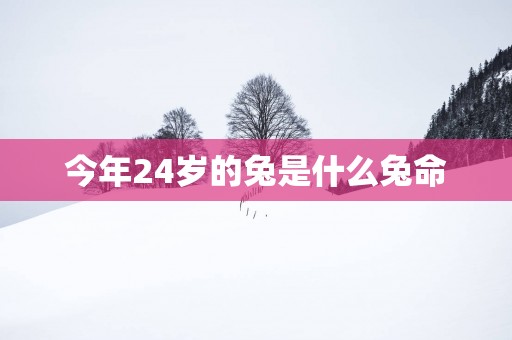 今年24岁的兔是什么兔命