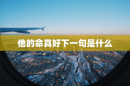 他的命真好下一句是什么