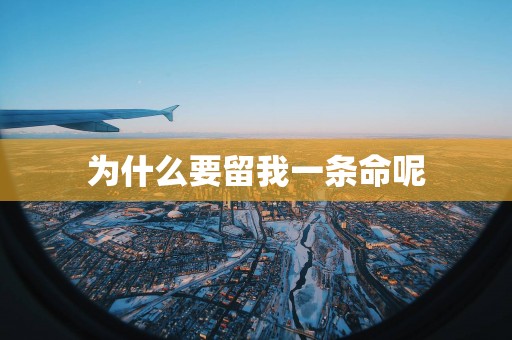 为什么要留我一条命呢