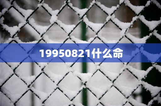 19950821什么命