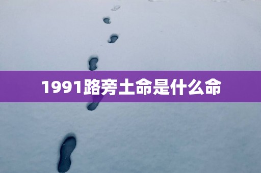 1991路旁土命是什么命