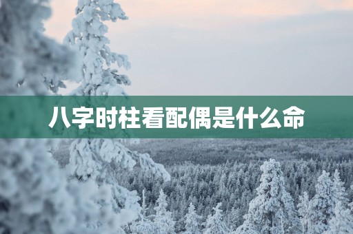 八字时柱看配偶是什么命