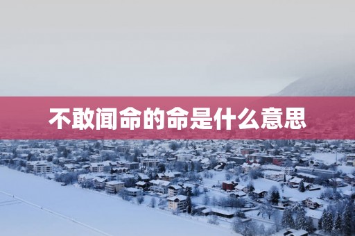 不敢闻命的命是什么意思