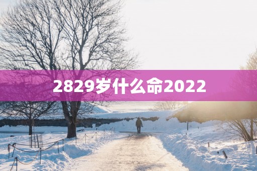 2829岁什么命2025