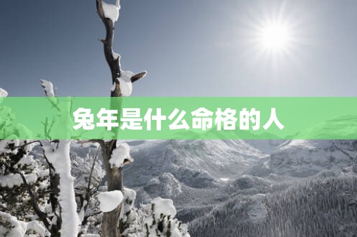 蛇年是什么命格的人