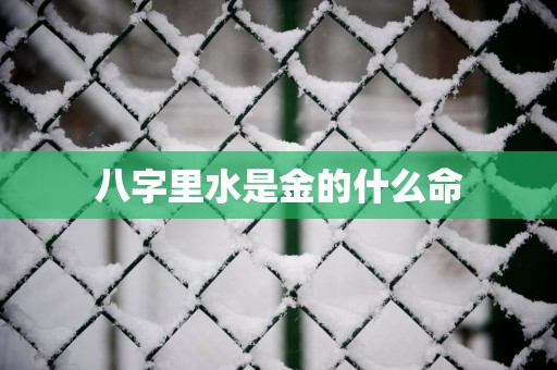 八字里水是金的什么命