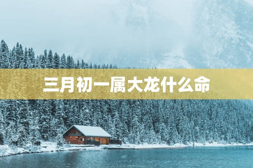 三月初一属大龙什么命
