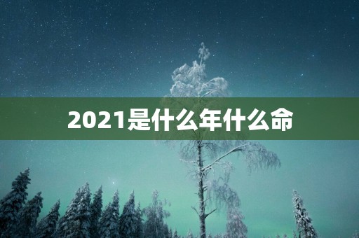 2025是什么年什么命