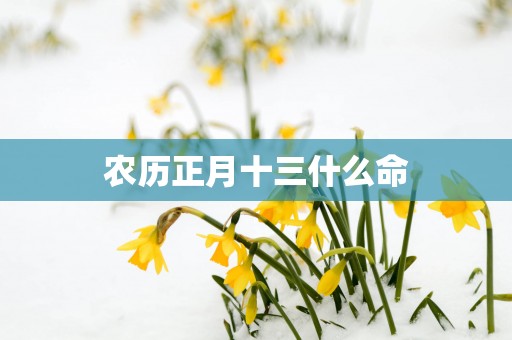 农历正月十三什么命