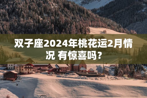双子座2025年桃花运2月情况 有惊喜吗？