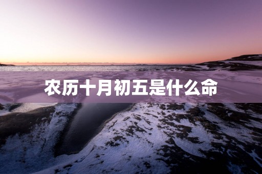 农历十月初五是什么命