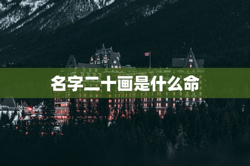 名字二十画是什么命