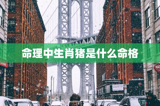 命理中生肖猪是什么命格