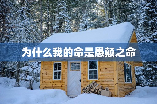 为什么我的命是愚颠之命