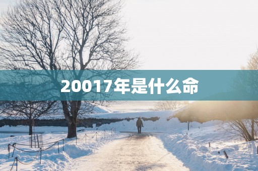 20017年是什么命