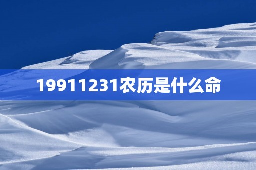 19911231农历是什么命