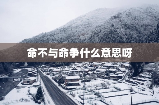 命不与命争什么意思呀