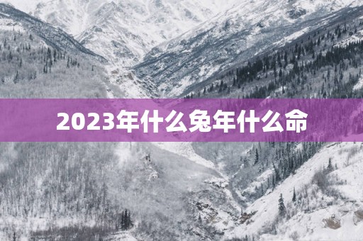 2025年什么蛇年什么命