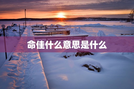 命佳什么意思是什么
