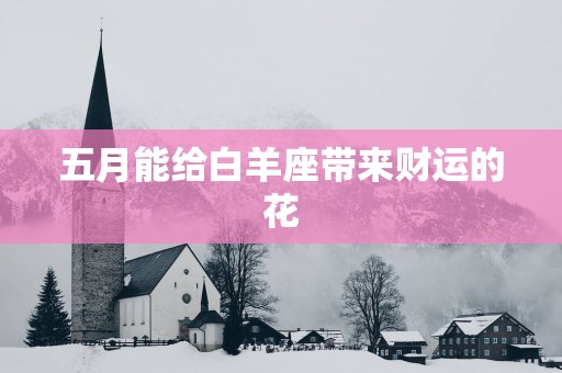 五月能给白羊座带来财运的花