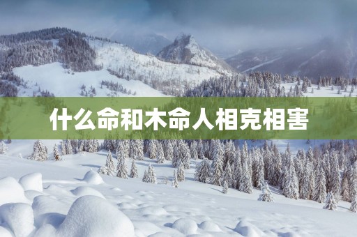 什么命和木命人相克相害