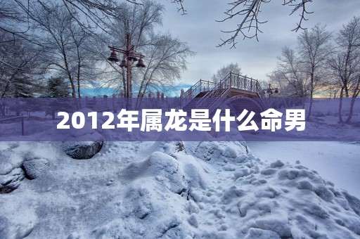2012年属龙是什么命男