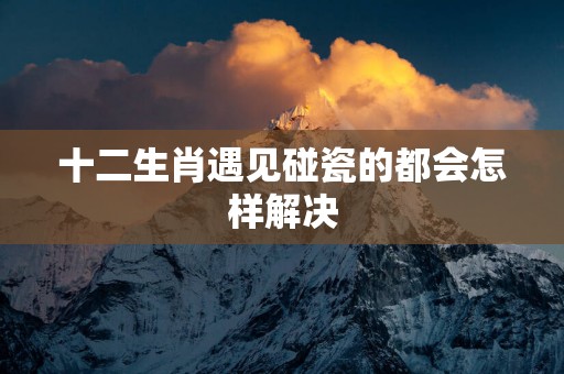 十二生肖遇见碰瓷的都会怎样解决