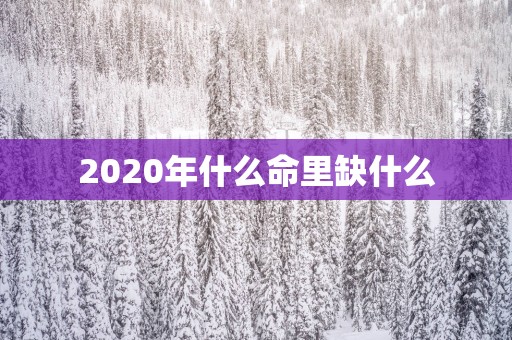 2025年什么命里缺什么