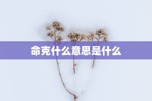 命克什么意思是什么