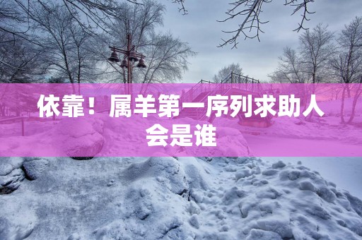 依靠！属羊第一序列求助人会是谁