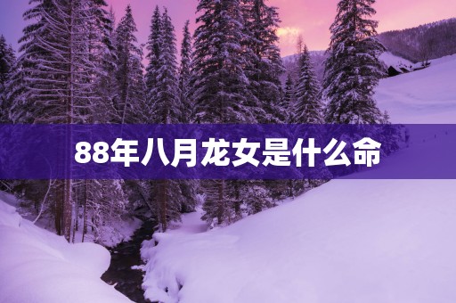 88年八月龙女是什么命