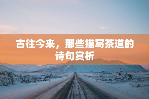古往今来，那些描写茶道的诗句赏析