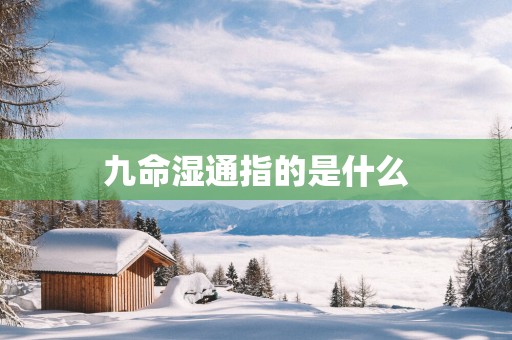 九命湿通指的是什么
