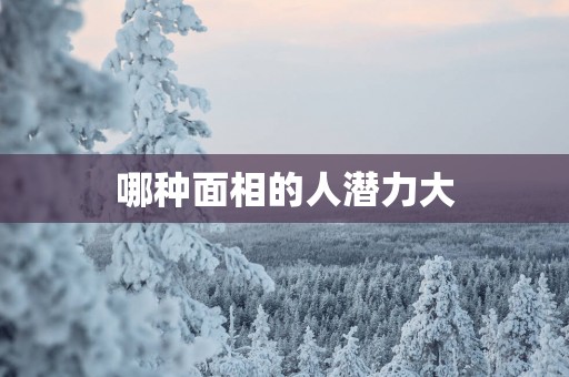 哪种面相的人潜力大