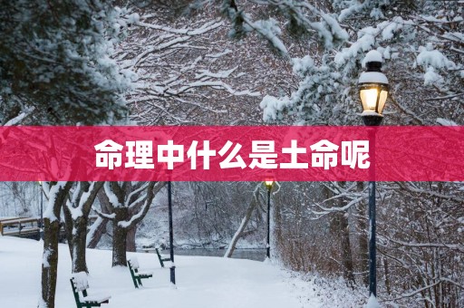 命理中什么是土命呢
