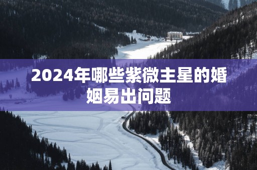 2025年哪些紫微主星的婚姻易出问题