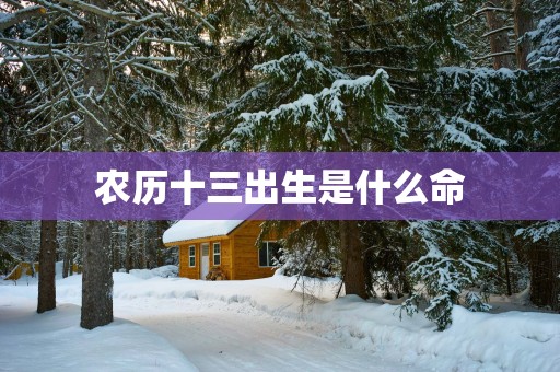 农历十三出生是什么命