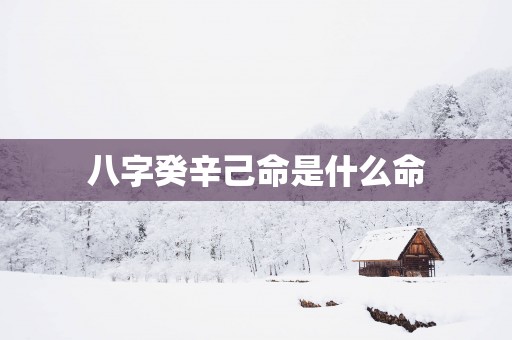 八字癸辛己命是什么命