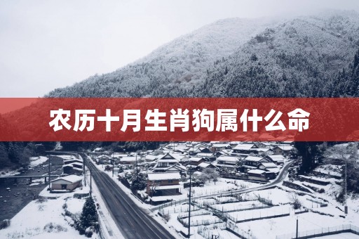 农历十月生肖狗属什么命