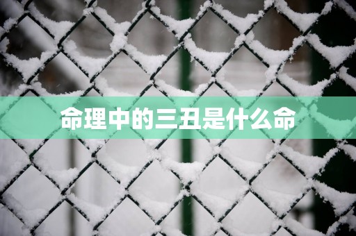 命理中的三丑是什么命