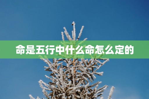 命是五行中什么命怎么定的