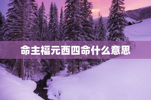 命主福元西四命什么意思