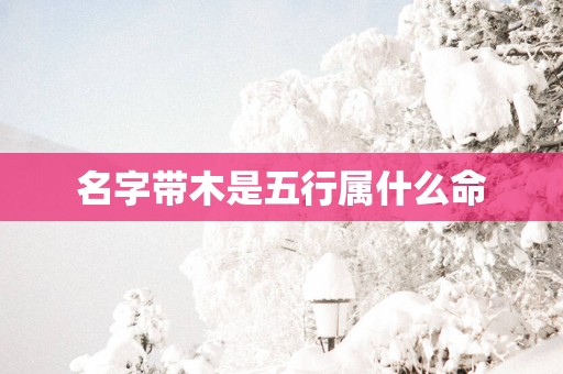 名字带木是五行属什么命