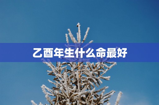 乙酉年生什么命最好