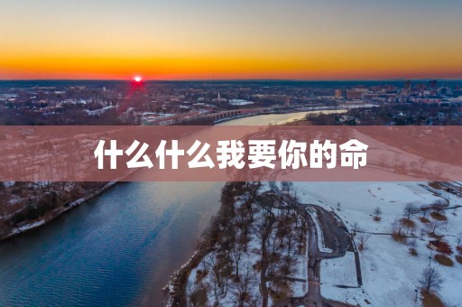 什么什么我要你的命