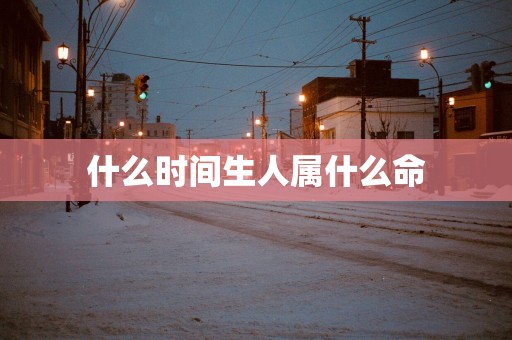 什么时间生人属什么命